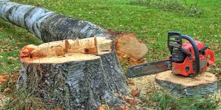 Best Firewood Processing and Delivery  in Cleveland, OH